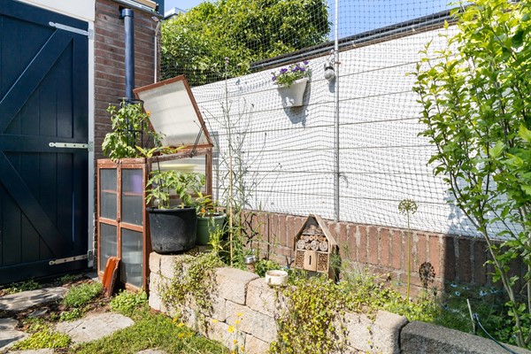 Medium property photo - Nicolaas Sopingiusstraat 20, 3553 TM Utrecht